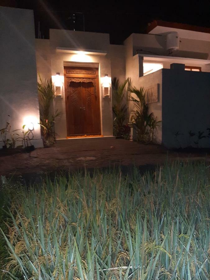 The Satya Villa อูบุด ภายนอก รูปภาพ