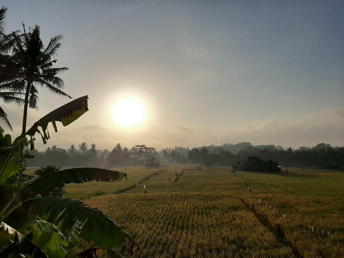 The Satya Villa อูบุด ภายนอก รูปภาพ
