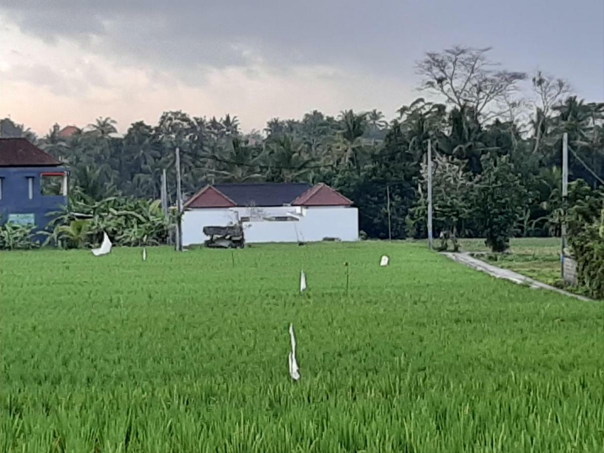 The Satya Villa อูบุด ภายนอก รูปภาพ